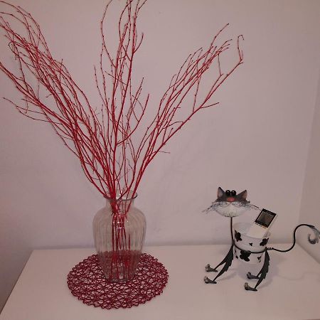 Studio Bubi Capodistria Esterno foto